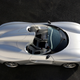 Illustration for article titled W3 Triposto Porsche Is A Study Hall Sketch Come To Life